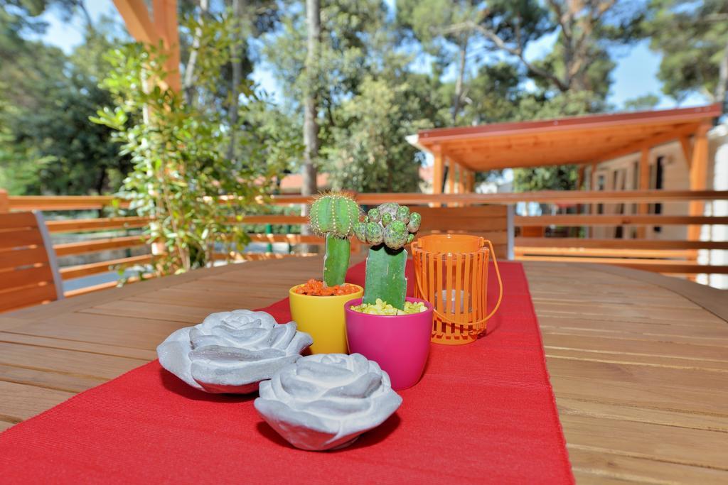 Sunny Home Soline Biograd Na Moru Exteriér fotografie